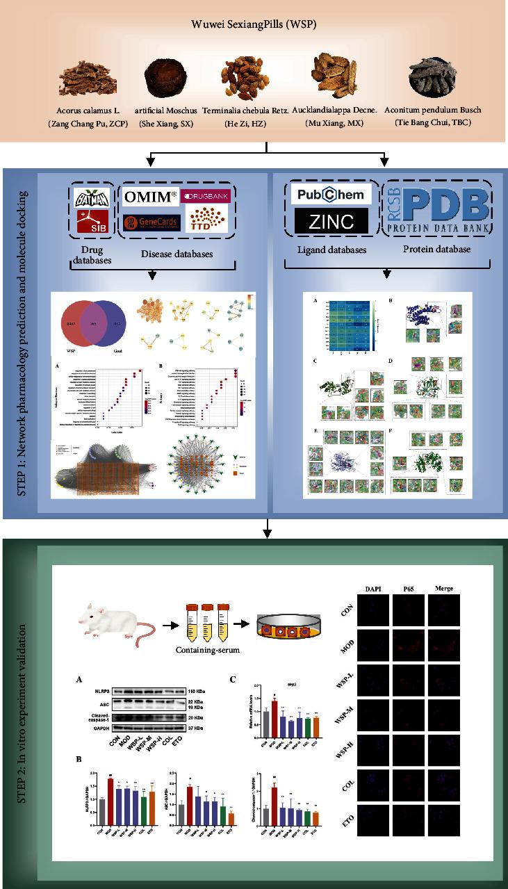 https://cdn.ncbi.nlm.nih.gov/pmc/blobs/e4f0/9568303/be83d5de0d01/ECAM2022-2377692.001.jpg