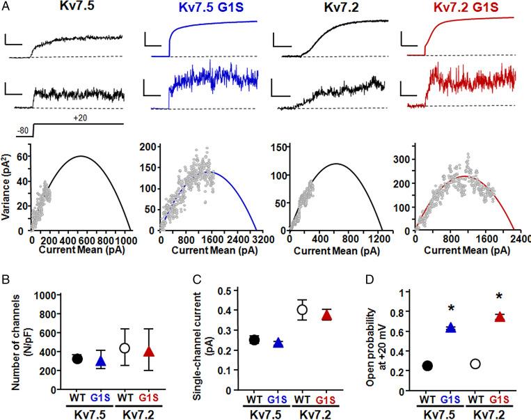 https://cdn.ncbi.nlm.nih.gov/pmc/blobs/e4f1/9169635/446e0bd3f552/pnas.2116887119fig03.jpg