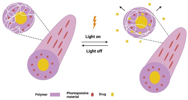 https://cdn.ncbi.nlm.nih.gov/pmc/blobs/e4f3/11359459/5ddc319f106d/pharmaceutics-16-01017-g004.jpg