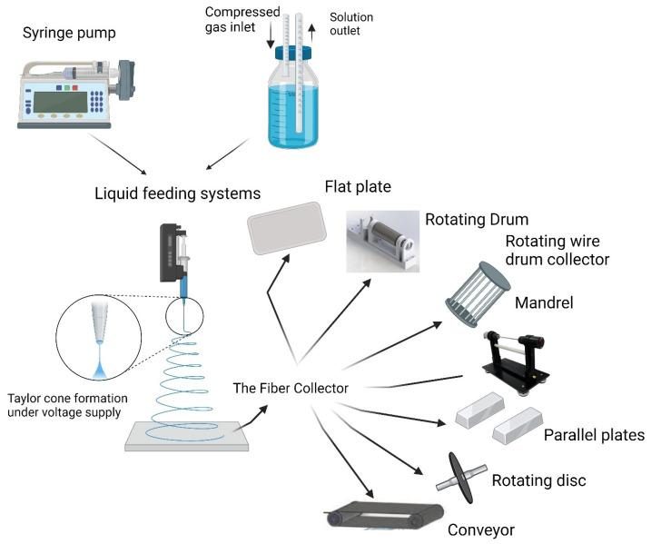 https://cdn.ncbi.nlm.nih.gov/pmc/blobs/e4f3/11359459/945be5a4e92d/pharmaceutics-16-01017-g002.jpg