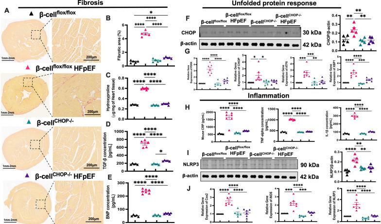 https://cdn.ncbi.nlm.nih.gov/pmc/blobs/e4f3/12166637/a0d9da5784f5/12933_2025_2703_Fig4_HTML.jpg