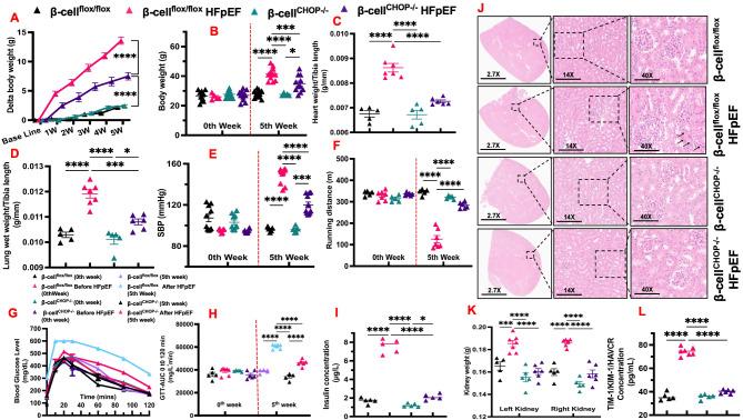 https://cdn.ncbi.nlm.nih.gov/pmc/blobs/e4f3/12166637/eeb5564d58bc/12933_2025_2703_Fig2_HTML.jpg