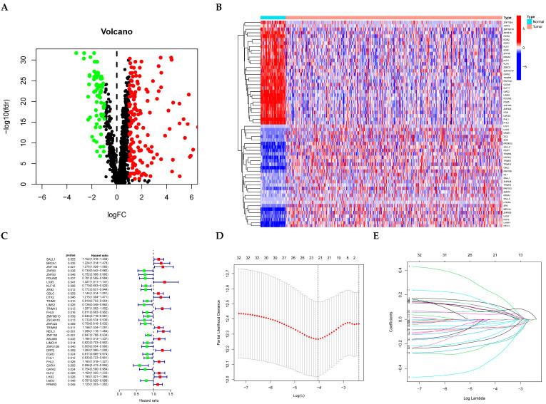 https://cdn.ncbi.nlm.nih.gov/pmc/blobs/e4f3/12248513/907b7f118dc0/cancers-17-02203-g001.jpg