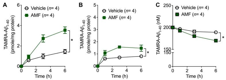 https://cdn.ncbi.nlm.nih.gov/pmc/blobs/e4f3/9180170/12d0994bb3b3/ijms-23-05885-g003.jpg