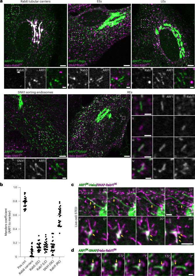 https://cdn.ncbi.nlm.nih.gov/pmc/blobs/e4f8/11567898/04daa977e3f4/41556_2024_1518_Fig5_HTML.jpg