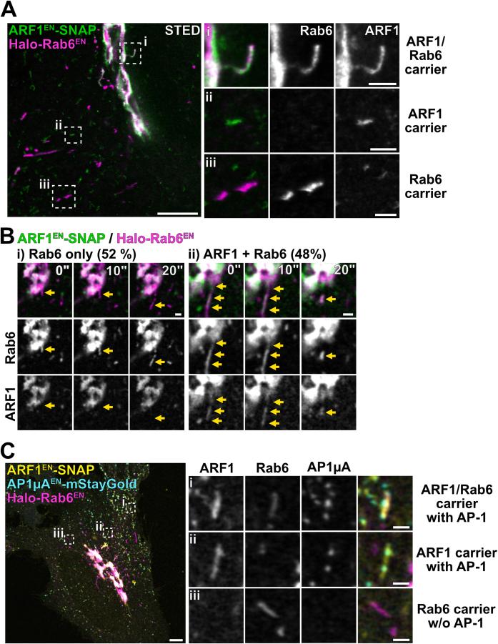 https://cdn.ncbi.nlm.nih.gov/pmc/blobs/e4f8/11567898/91b24ed4fb4f/41556_2024_1518_Fig11_ESM.jpg