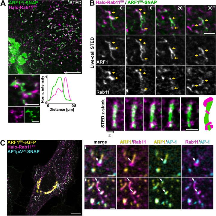 https://cdn.ncbi.nlm.nih.gov/pmc/blobs/e4f8/11567898/cb3dc5b8f1f4/41556_2024_1518_Fig13_ESM.jpg