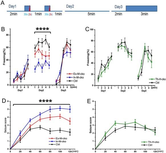 https://cdn.ncbi.nlm.nih.gov/pmc/blobs/e4f9/8161520/a08fd0443876/ddab052f3.jpg