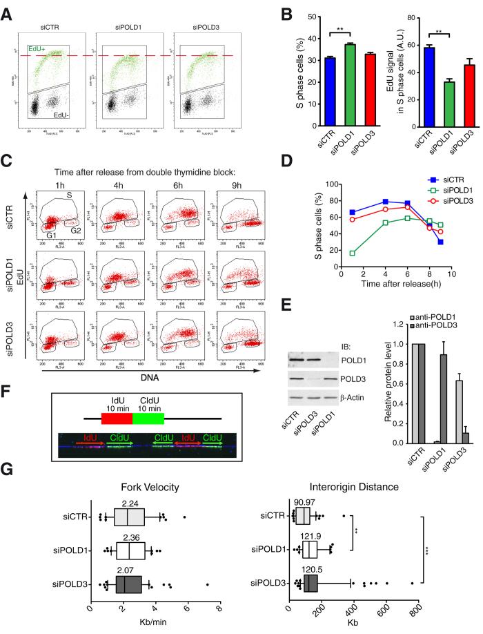 https://cdn.ncbi.nlm.nih.gov/pmc/blobs/e4fc/5156928/58fa2d2fcae4/srep38873-f1.jpg