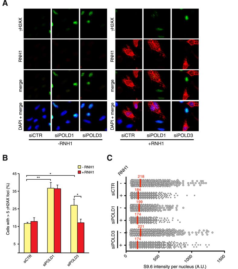 https://cdn.ncbi.nlm.nih.gov/pmc/blobs/e4fc/5156928/5987f42da8cf/srep38873-f5.jpg