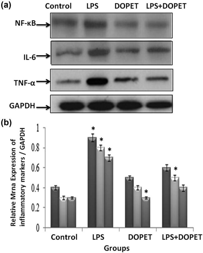 https://cdn.ncbi.nlm.nih.gov/pmc/blobs/e4fe/8691377/822afb44df81/j_biol-2021-0125-fig002.jpg