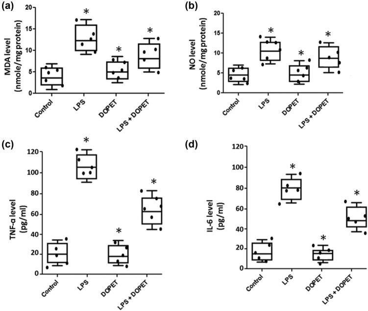 https://cdn.ncbi.nlm.nih.gov/pmc/blobs/e4fe/8691377/e1c0ce736e89/j_biol-2021-0125-fig001.jpg