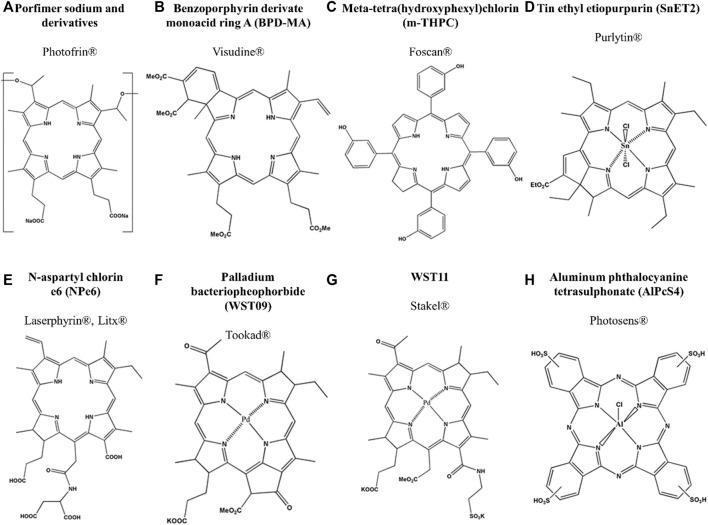 https://cdn.ncbi.nlm.nih.gov/pmc/blobs/e4fe/9713237/30c213d5ffe1/fchem-10-1035449-g004.jpg