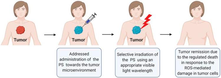 https://cdn.ncbi.nlm.nih.gov/pmc/blobs/e4fe/9713237/c8b0f4b19455/fchem-10-1035449-g001.jpg