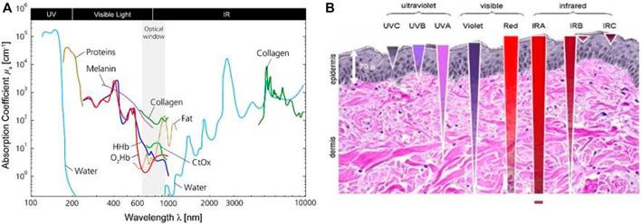 https://cdn.ncbi.nlm.nih.gov/pmc/blobs/e4fe/9713237/eed663e3563a/fchem-10-1035449-g003.jpg