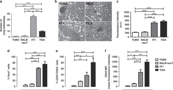 https://cdn.ncbi.nlm.nih.gov/pmc/blobs/e500/7782702/3c95883b6709/41416_2020_1173_Fig3_HTML.jpg