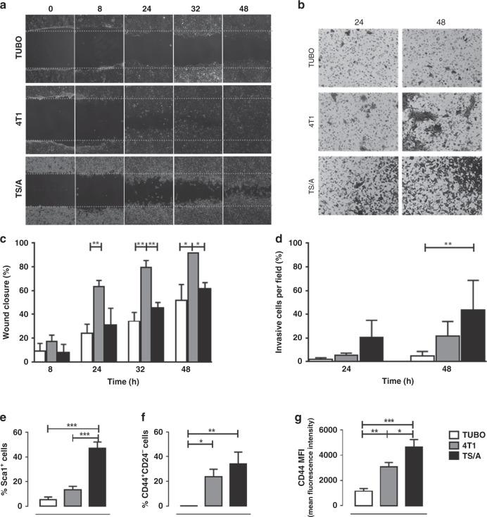 https://cdn.ncbi.nlm.nih.gov/pmc/blobs/e500/7782702/f838d7efd23b/41416_2020_1173_Fig1_HTML.jpg
