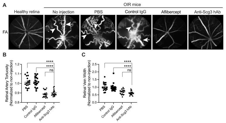 https://cdn.ncbi.nlm.nih.gov/pmc/blobs/e501/8745183/5c0d99650a18/ijms-23-00350-g002.jpg