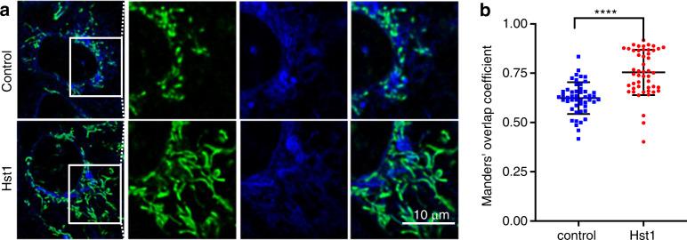 https://cdn.ncbi.nlm.nih.gov/pmc/blobs/e501/9378733/453ff37515c1/41368_2022_181_Fig9_HTML.jpg