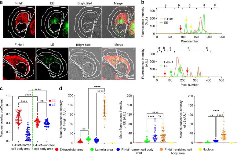 https://cdn.ncbi.nlm.nih.gov/pmc/blobs/e501/9378733/78bef157b7a0/41368_2022_181_Fig5_HTML.jpg