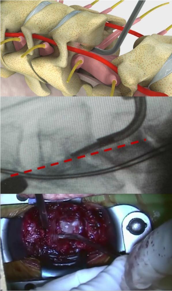 https://cdn.ncbi.nlm.nih.gov/pmc/blobs/e502/10189983/762279a6dd69/13018_2023_3769_Fig3_HTML.jpg