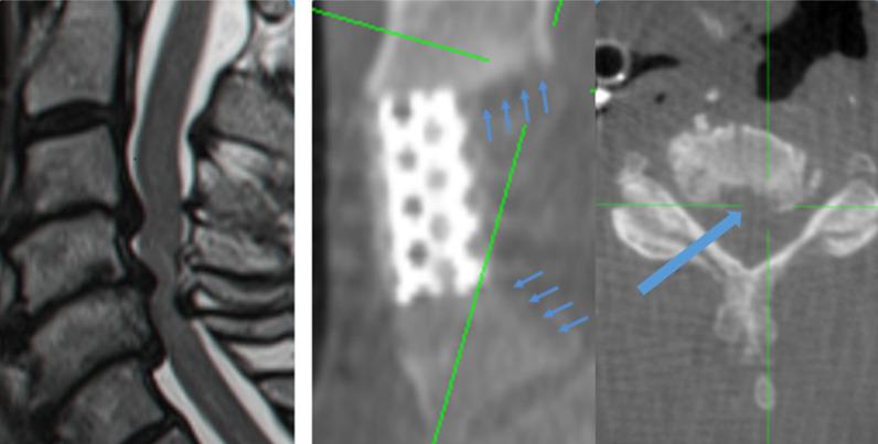https://cdn.ncbi.nlm.nih.gov/pmc/blobs/e502/10189983/f4a80a1dbbca/13018_2023_3769_Fig4_HTML.jpg