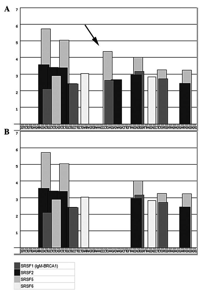 https://cdn.ncbi.nlm.nih.gov/pmc/blobs/e502/3678577/2acbc64e6a54/OL-05-05-1710-g00.jpg