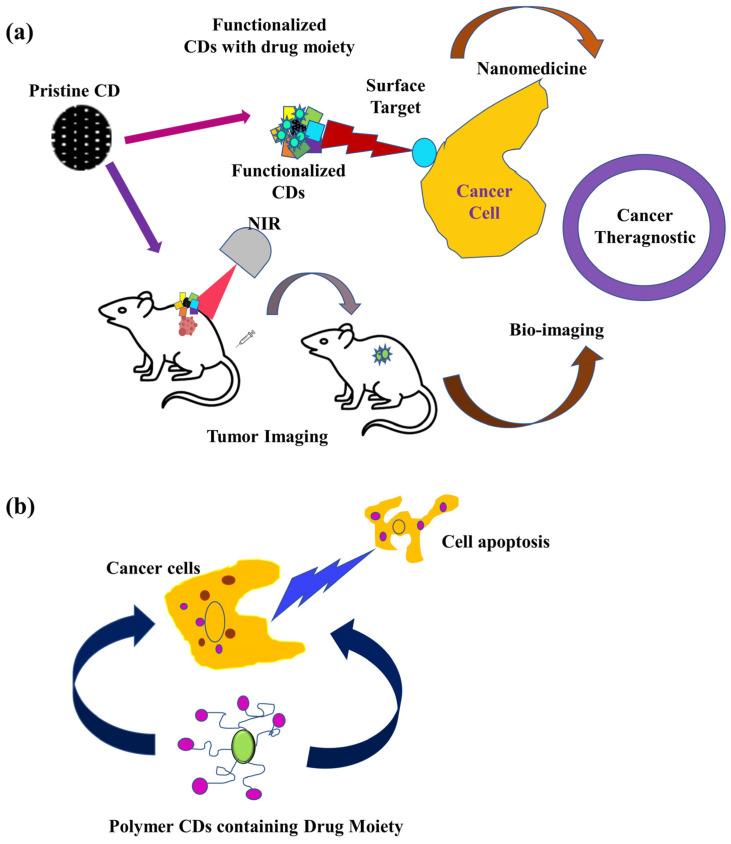 https://cdn.ncbi.nlm.nih.gov/pmc/blobs/e504/10059251/5bd38d57ca55/pharmaceutics-15-01019-g002.jpg