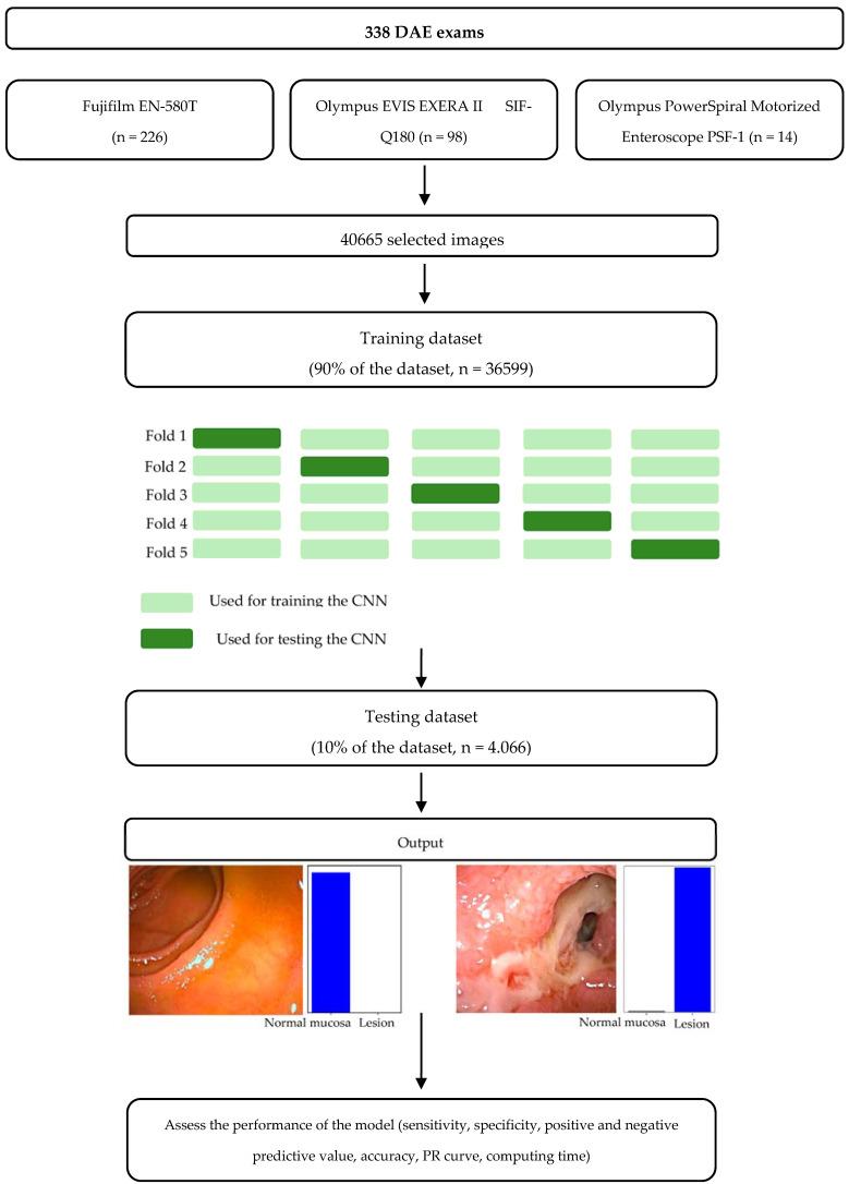 https://cdn.ncbi.nlm.nih.gov/pmc/blobs/e505/10778030/99c6a82cba50/cancers-16-00208-g001.jpg