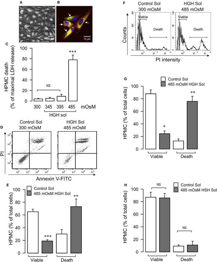 https://cdn.ncbi.nlm.nih.gov/pmc/blobs/e505/5468383/bcb95706aee9/fphys-08-00379-g0001.jpg