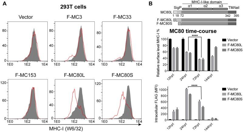 https://cdn.ncbi.nlm.nih.gov/pmc/blobs/e505/6508746/fa4b9ea862aa/ppat.1007711.g001.jpg