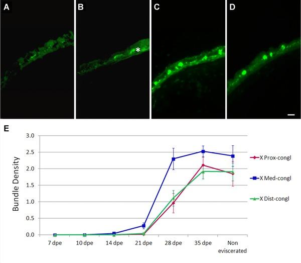 https://cdn.ncbi.nlm.nih.gov/pmc/blobs/e506/4895299/35e1b51141e4/REG2-1-10-g007.jpg