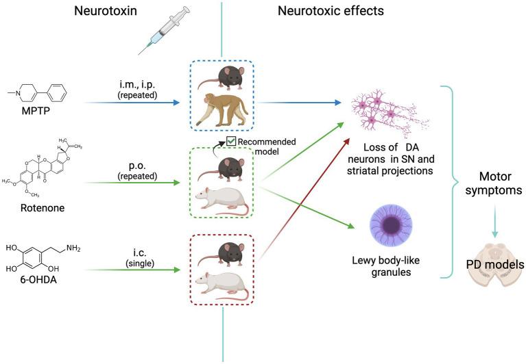 https://cdn.ncbi.nlm.nih.gov/pmc/blobs/e508/10800989/a4d22832db9d/fnins-17-1248727-g001.jpg