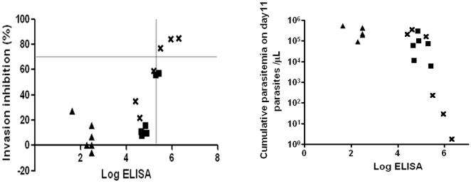 https://cdn.ncbi.nlm.nih.gov/pmc/blobs/e50c/2780715/8d1207cc152c/pone.0008138.g007.jpg