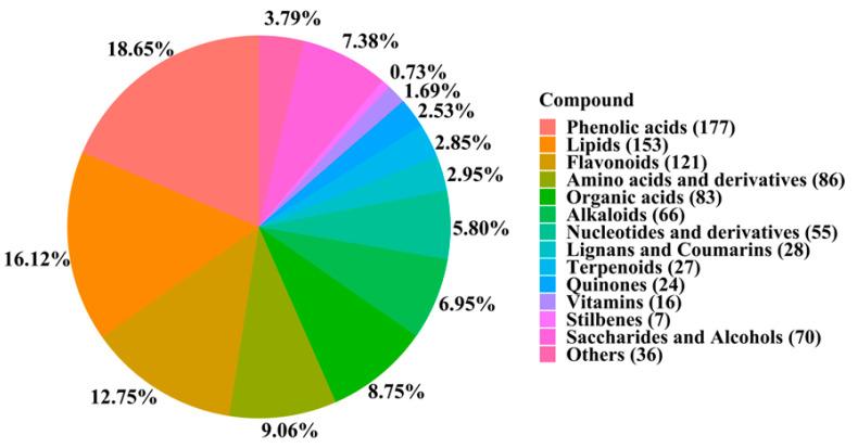 https://cdn.ncbi.nlm.nih.gov/pmc/blobs/e50d/10059836/a49df24171d3/metabolites-13-00389-g002.jpg