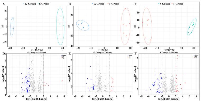 https://cdn.ncbi.nlm.nih.gov/pmc/blobs/e50d/10059836/edbbb13d1f47/metabolites-13-00389-g004.jpg
