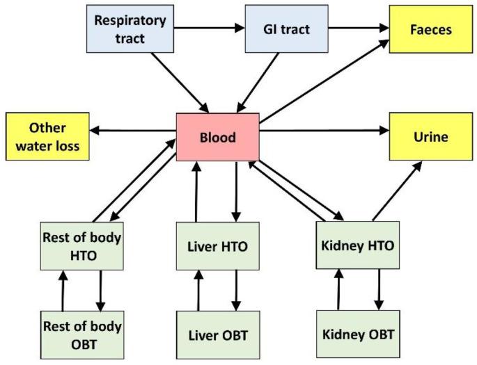 https://cdn.ncbi.nlm.nih.gov/pmc/blobs/e50d/9607624/811226458232/toxics-10-00602-g005.jpg
