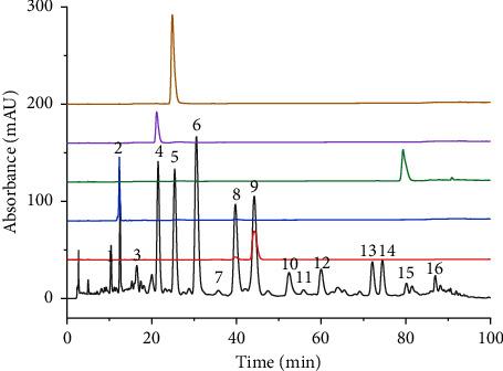 https://cdn.ncbi.nlm.nih.gov/pmc/blobs/e50d/9870700/06d0ec328810/ECAM2023-6506244.001.jpg