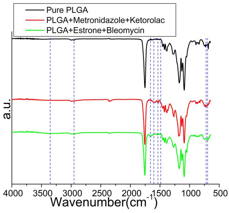 https://cdn.ncbi.nlm.nih.gov/pmc/blobs/e50e/11207985/098017ce6a5e/polymers-16-01667-g007.jpg
