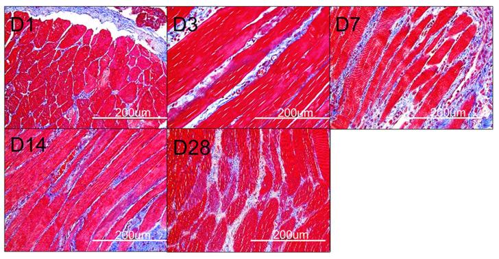 https://cdn.ncbi.nlm.nih.gov/pmc/blobs/e50e/11207985/1443ed47e108/polymers-16-01667-g013.jpg
