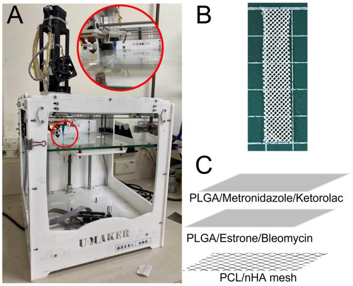 https://cdn.ncbi.nlm.nih.gov/pmc/blobs/e50e/11207985/161a6e381281/polymers-16-01667-g001.jpg