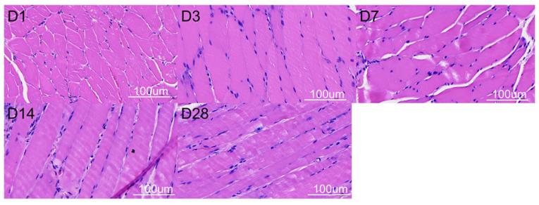 https://cdn.ncbi.nlm.nih.gov/pmc/blobs/e50e/11207985/4fd49d1183c3/polymers-16-01667-g012.jpg