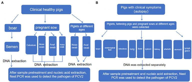 https://cdn.ncbi.nlm.nih.gov/pmc/blobs/e510/9845725/80bd66030ad8/fmicb-13-1013617-g002.jpg