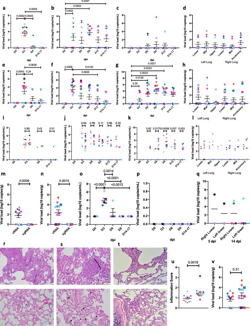 https://cdn.ncbi.nlm.nih.gov/pmc/blobs/e511/7890948/20d305828024/nihms-1649317-f0001.jpg