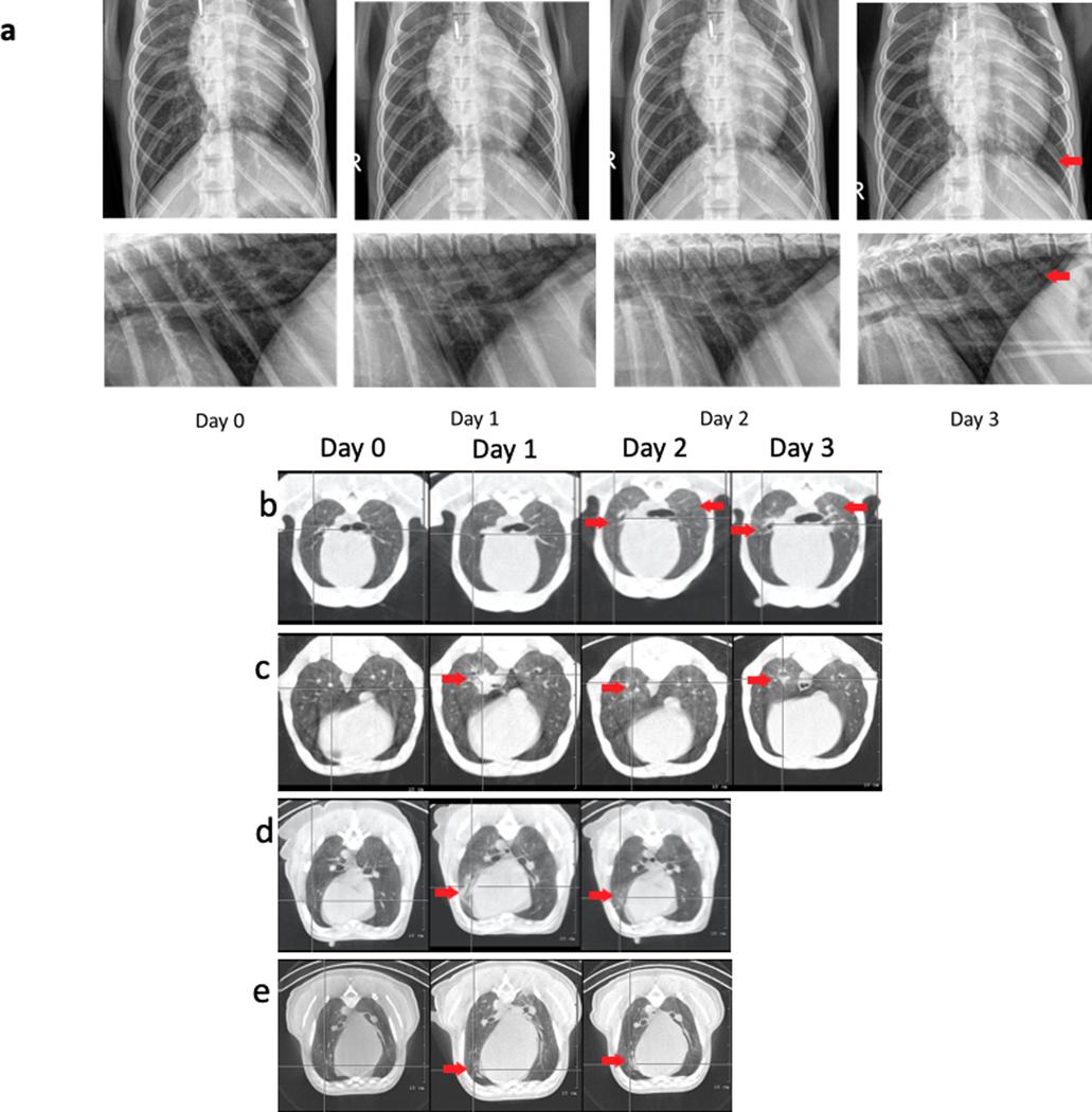 https://cdn.ncbi.nlm.nih.gov/pmc/blobs/e511/7890948/642e482aceb7/nihms-1649317-f0013.jpg