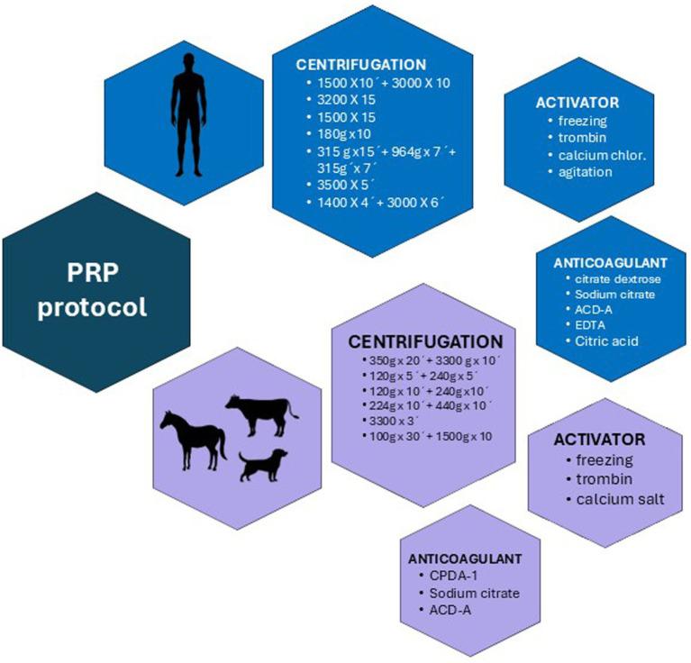 https://cdn.ncbi.nlm.nih.gov/pmc/blobs/e512/12133864/5444ac7a3e5d/fvets-12-1571373-g002.jpg