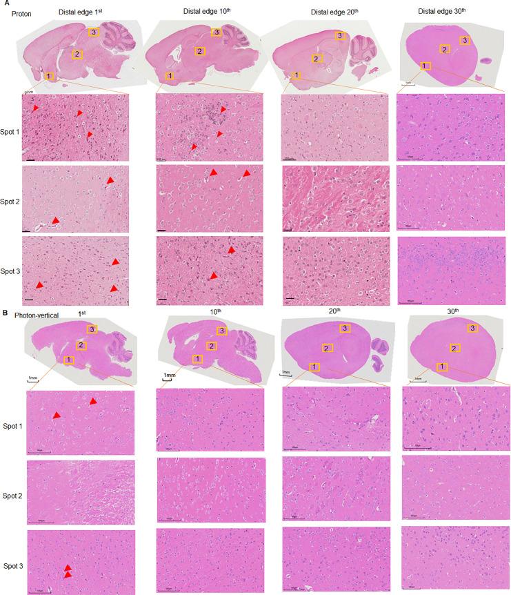 https://cdn.ncbi.nlm.nih.gov/pmc/blobs/e518/12023787/05d1e1faee03/gr2.jpg