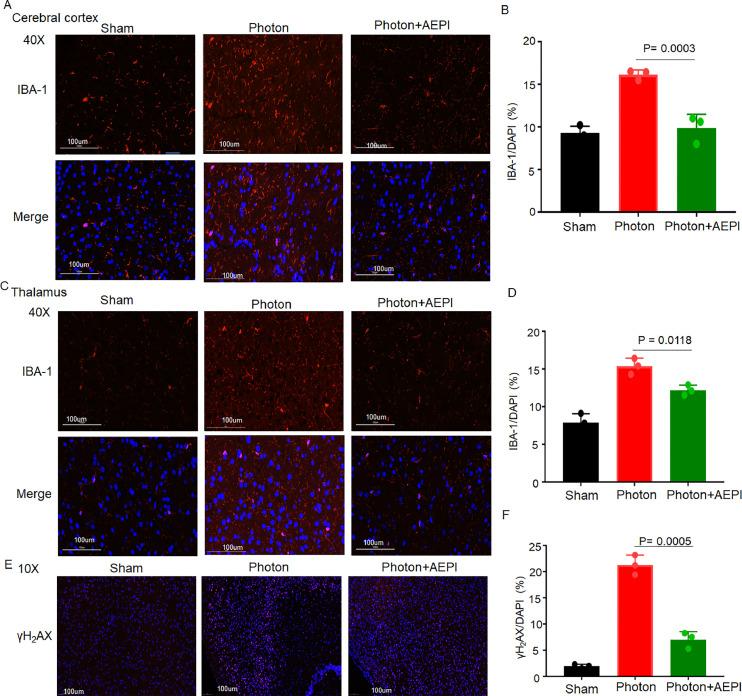https://cdn.ncbi.nlm.nih.gov/pmc/blobs/e518/12023787/4d0a88c4aa91/gr7.jpg
