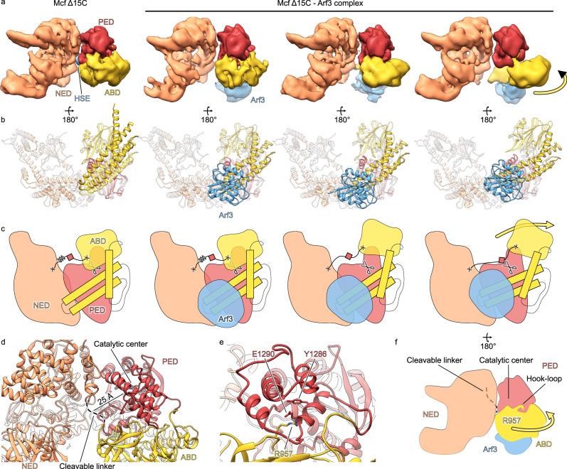 https://cdn.ncbi.nlm.nih.gov/pmc/blobs/e519/10716152/cc0ebf42d47e/41467_2023_44069_Fig4_HTML.jpg
