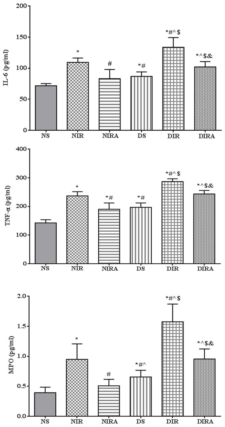 https://cdn.ncbi.nlm.nih.gov/pmc/blobs/e519/5928677/03f716a7ba12/MMR-17-05-7191-g01.jpg